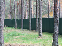 В Твери ведется приемка загородных лагерей