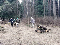 В Твери продолжаются общегородские субботники 