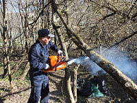 В Твери устранено большинство повреждений после прошедшего урагана