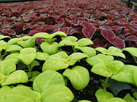 В Твери продолжаются весенние работы по благоустройству и уборке улиц