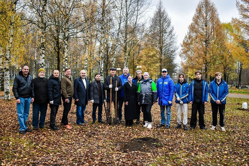 В Твери в парке на улице Королева высадили молодые дубы 