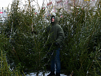 В Твери определены площадки для ёлочных базаров