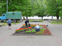  МБУ «Зеленстрой» продолжает работы по озеленению и благоустройству города