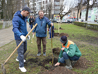 В Твери высадили Аллею династий