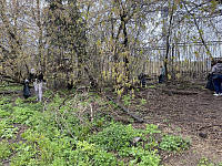 В Твери продолжаются городские субботники