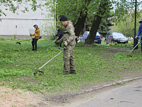  В Твери на Аллее Славы высадили саженцы  ясеней в рамках акции «Сад памяти»