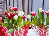  В преддверии 8 марта в Твери будет организована продажа цветов