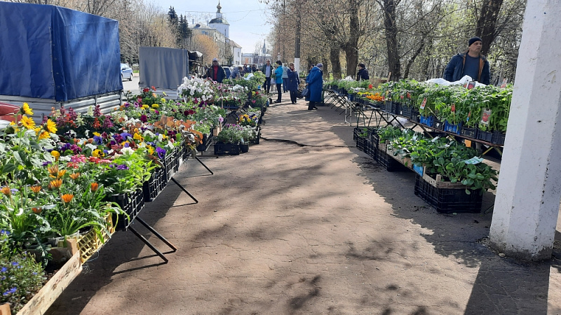 В Твери открылась выставка – продажа рассады и посадочного материала