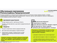  Всероссийская программа по развитию молодежного предпринимательства
