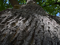 Администрация города продолжает еженедельную рубрику «Ключи Твери»