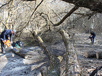 В Твери устранено большинство повреждений после прошедшего урагана