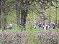 В Твери начался городской этап акции «Георгиевская ленточка»