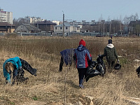 В Твери продолжаются массовые субботники
