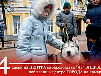 Администрация Твери подвела итоги «Рождественской ярмарки»