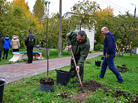 В Твери в яблоневом саду в Московском районе высадили 40 новых деревьев