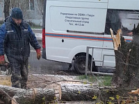 В Твери устраняют последствия непогоды