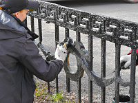 В Твери продолжаются весенние работы по благоустройству и уборке улиц