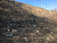 В Твери продолжаются общегородские субботники