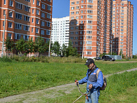 В Твери продолжаются покосы травы вдоль улиц и в зелёных зонах
