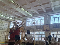 Cоревнования по волейболу среди общеобразовательных школ