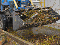 В Твери устраняют последствия непогоды