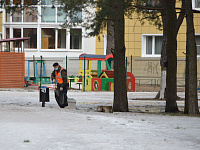 В парках и рощах Твери продолжают работу мониторинговые группы