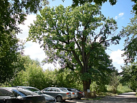 Администрация города продолжает еженедельную рубрику «Ключи Твери»