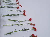 16 декабря 2024 года в День освобождения города Калинина от немецко-фашистских захватчиков состоялась церемония возложения цветов и венков к братскому захоронению на площади Ленина