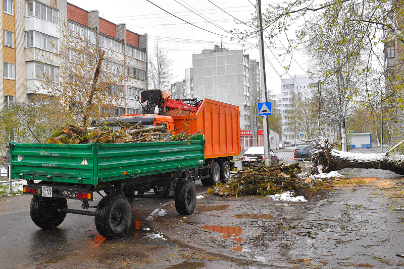 В Твери устраняют последствия непогоды