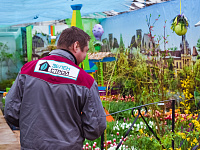  В преддверии 8 марта в Твери будет организована продажа цветов