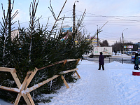 В Твери определены площадки для ёлочных базаров
