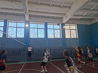Cоревнования по волейболу среди общеобразовательных школ