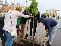 В Твери высадили подаренные городу липы и яблони