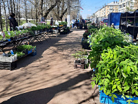 В Твери открылась выставка – продажа рассады и посадочного материала