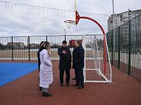 В Городском саду этой зимой установят две новогодние ели