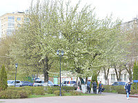 Глава города Твери Алексей Огоньков проверил благоустройство воинских захоронений