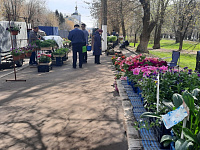 В Твери открылась выставка – продажа рассады и посадочного материала