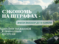 О своевременной подаче отчетности в рамках механизма расширенной ответственности производителей и импортеров