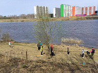 В Твери продолжаются массовые субботники
