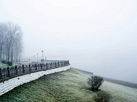 Администрация Твери запустила голосование по фотоконкурсу «Мой Горсад»