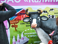 В Твери фестиваль «Верхневолжье» посетили более 9 тысяч гостей