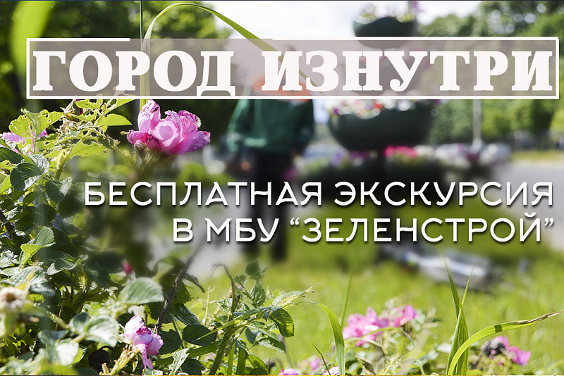 Тверитян приглашают на экскурсию в МБУ «Зеленстрой»