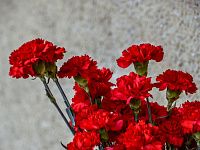 В Твери открыта мемориальная доска Сергею Киселеву 