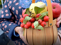 Администрация Твери продолжает рубрику «Ключи Твери»