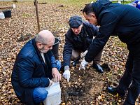 В Твери в парке на улице Королева высадили молодые дубы 